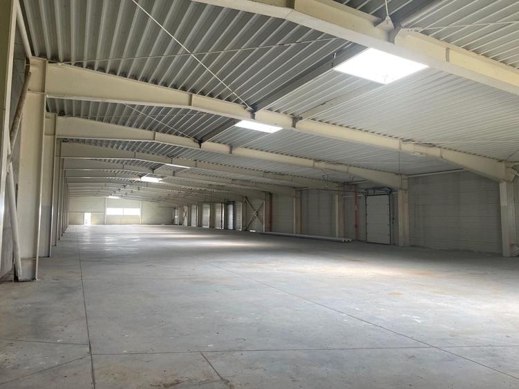 Spațiu industrial, de 4,600 mp, în Sânandrei