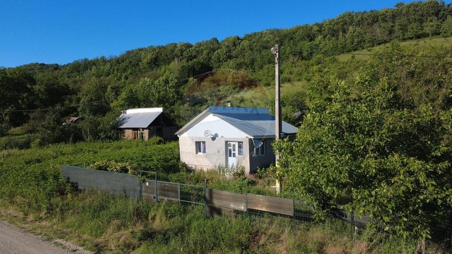 Casă individuală cu 2 camere cu Teren 4162 Mp în Valea Salciei