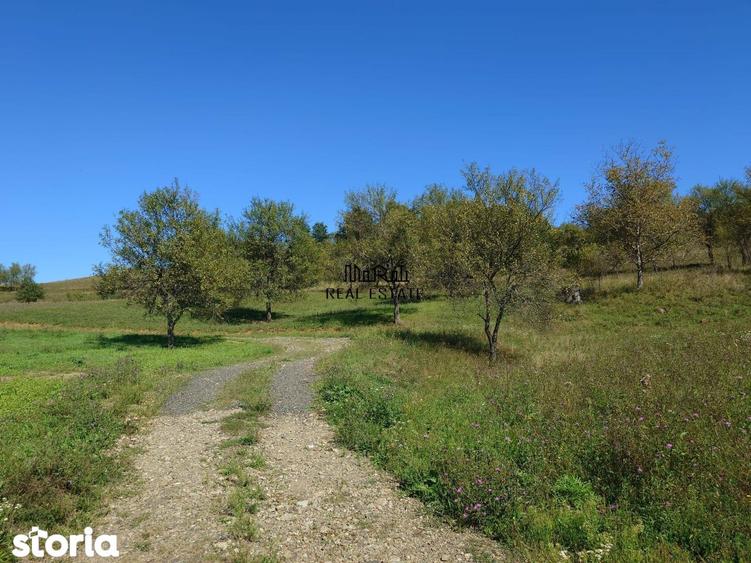 Teren de 8757 mp, în Luncoiu de Jos