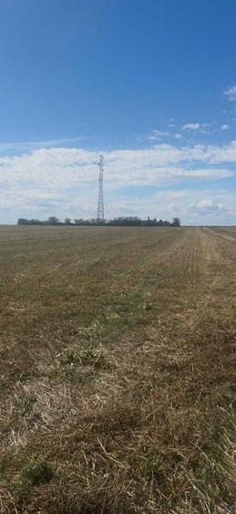 Teren de 300000 mp, în Căteasca
