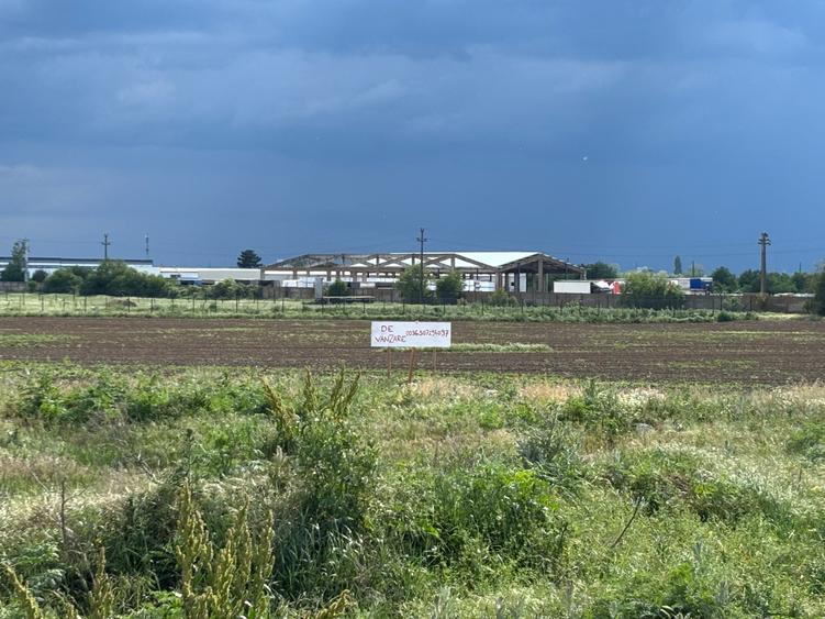 Teren 4.000 MP Zona Calea Borsului 37, Oradea Oportunitate investitie - 6