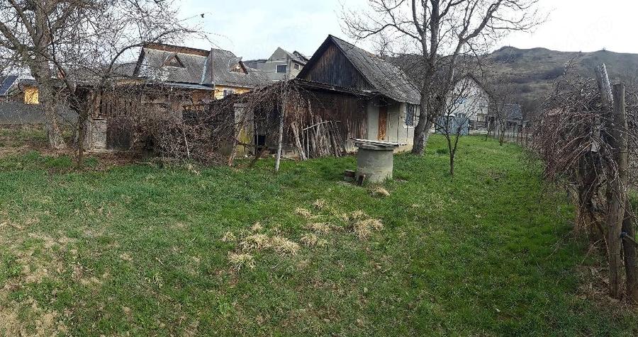 Teren de 3000 mp, în Dumbrăvița