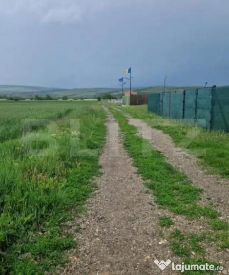 Teren pentru casa intravilan , 800 mp deschidere la drum Bod - 1
