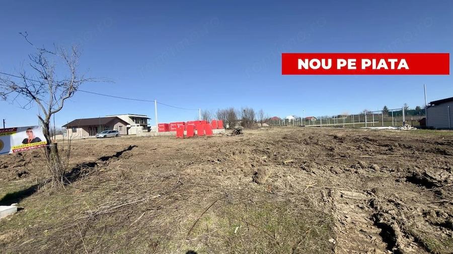 Teren de 533 mp, în Albota