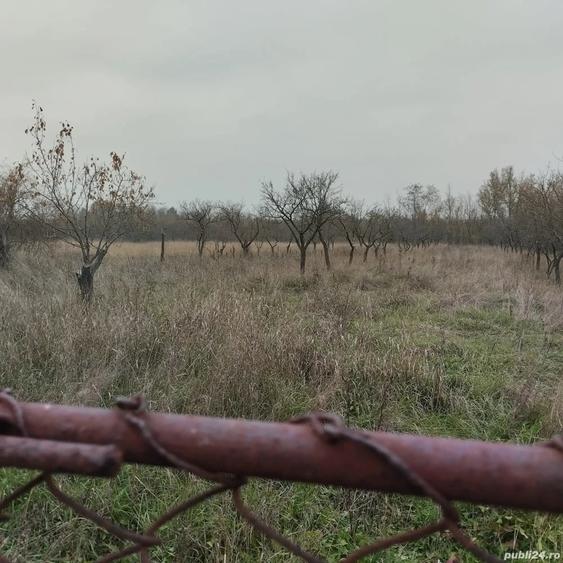 Casă cu 6 camere în Drăghicești