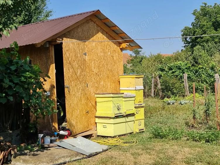 Casă cu 2 camere cu Teren 334 Mp în Vinerea
