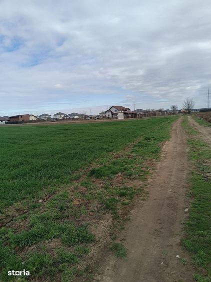 Teren de 5000 mp, în Săbăreni
