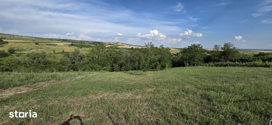 Teren de 2494 mp, în Brădești