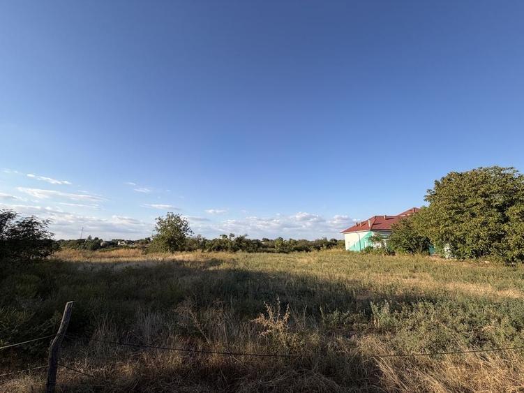 Teren de 5000 mp, în Leu