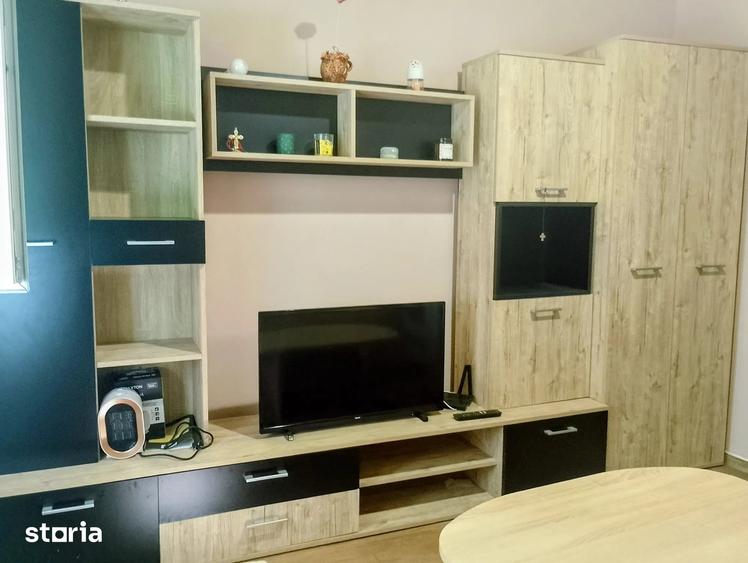 Garsonieră în Buziașului