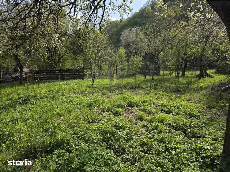 Casă cu 3 camere cu Teren 3748 Mp în Nădrag