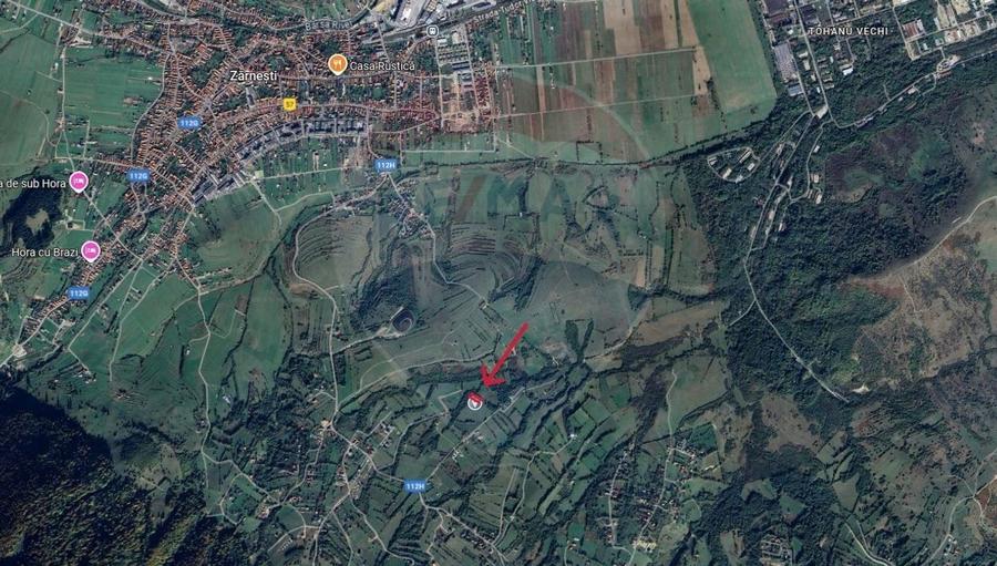 Teren Construcții intravilan de 12615 mp, în Tohănița