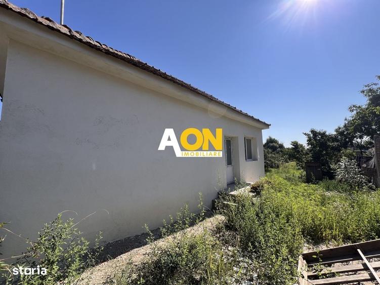Casă cu 2 camere în Vințu de Jos