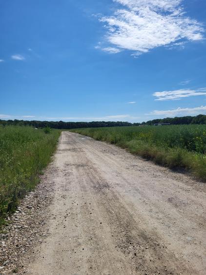 Teren Construcții intravilan de 5000 mp, în Ciolpani