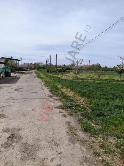 Teren de 95000 mp, în Cerneteaz