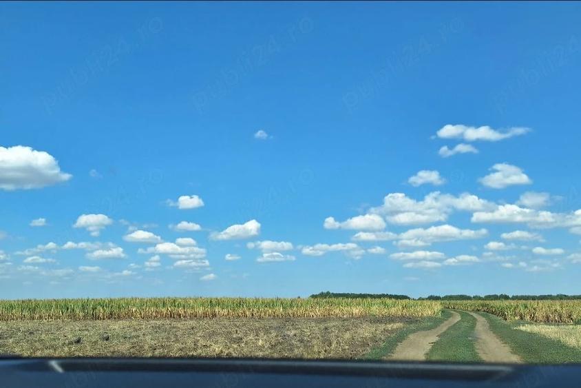 Teren de 1000000 mp, în Șimand