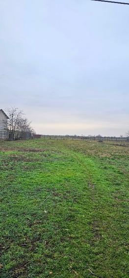 Teren Construcții intravilan de 6500 mp, în Tărian