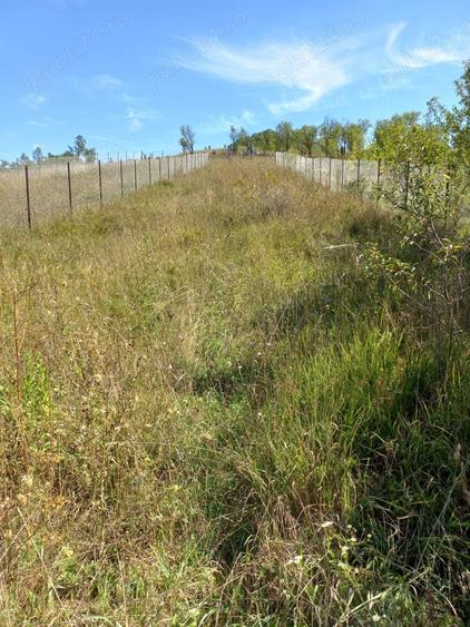 Teren de 1298 mp, în Sânpaul