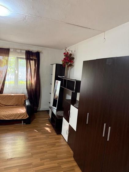 Garsonieră decomandată în Buziașului