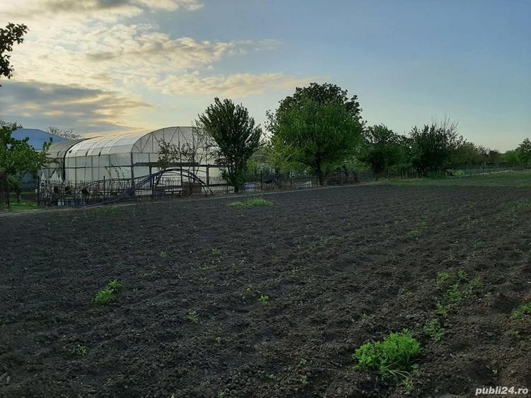 Teren de 4000 mp, în Măgureni
