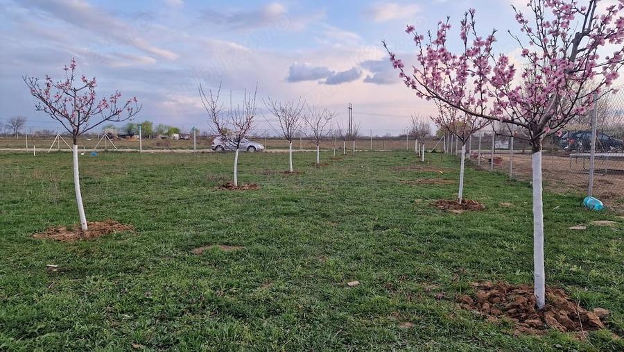 Teren de 1370 mp, în Central