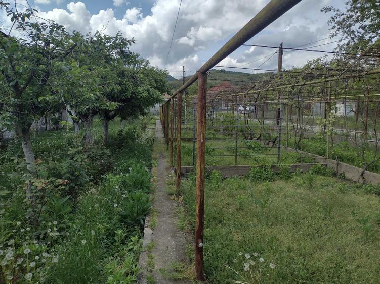 Casă cu 4 camere cu Teren 2000 Mp în Gura Văii