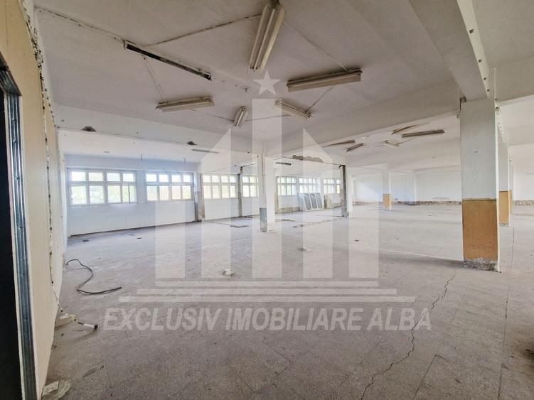 Spațiu industrial, de 1,100 mp, în Bărăbanț