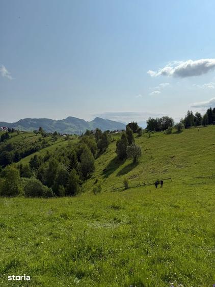 Teren de 11908 mp, în Moieciu