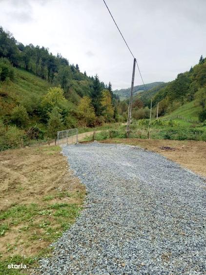 Casă cu 2 camere cu Teren 1707 Mp în Bistra