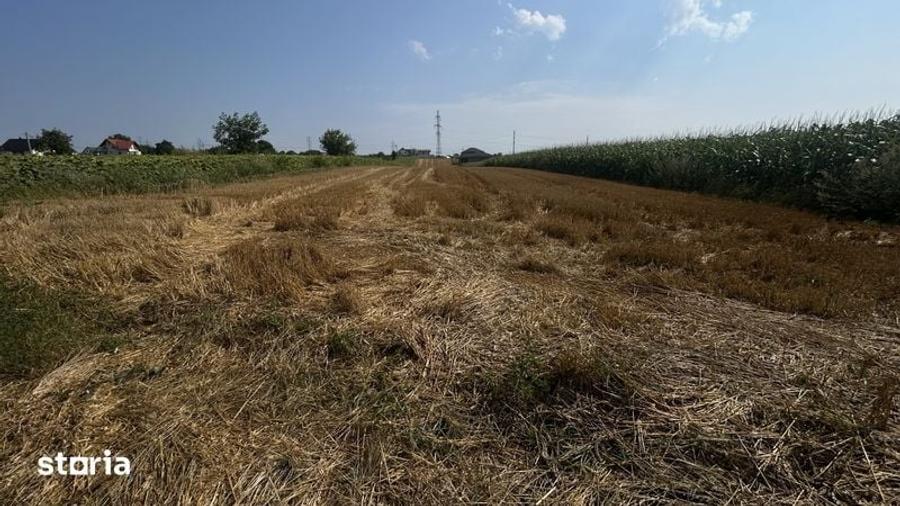 Teren parcelat in Ipotesti 4 parcele - 1