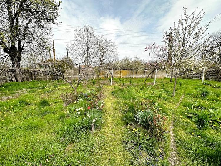 Casă cu Teren 2470 Mp în Mârțești