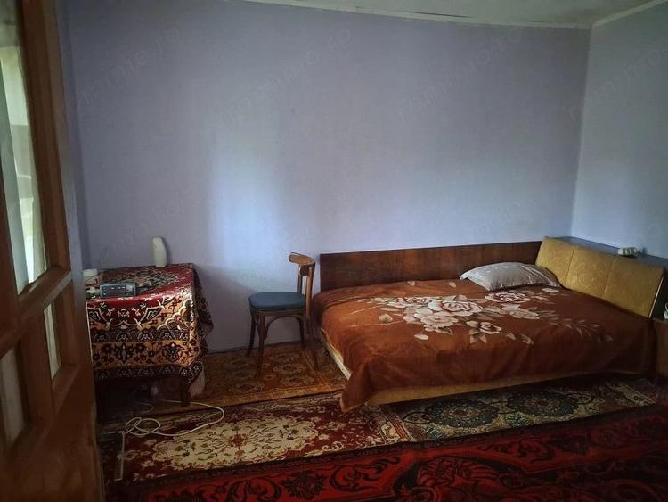 Casă cu 4 camere cu Teren 3116 Mp în Boroșteni