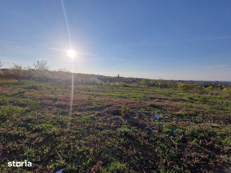Teren de 3100 mp, în Paleu