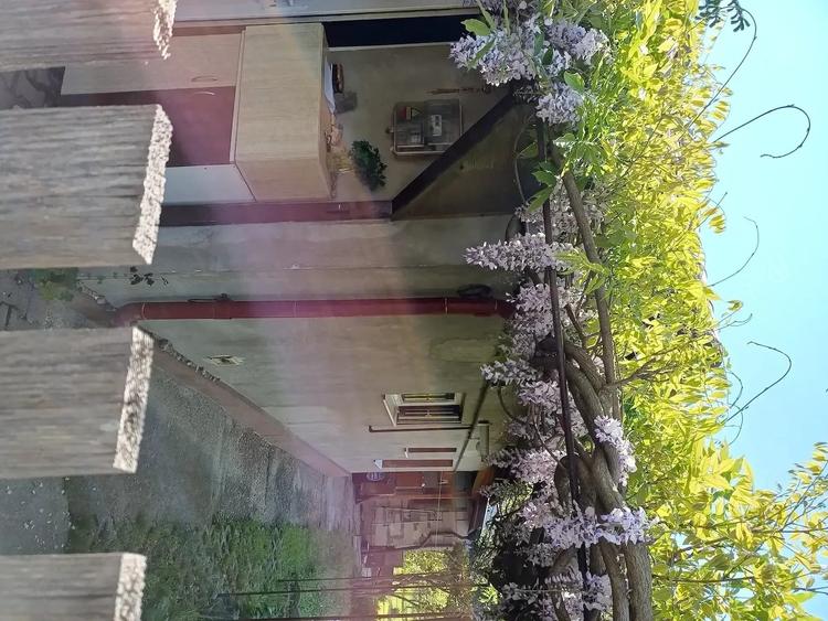 Casă cu Teren 321 Mp în Între Lacuri