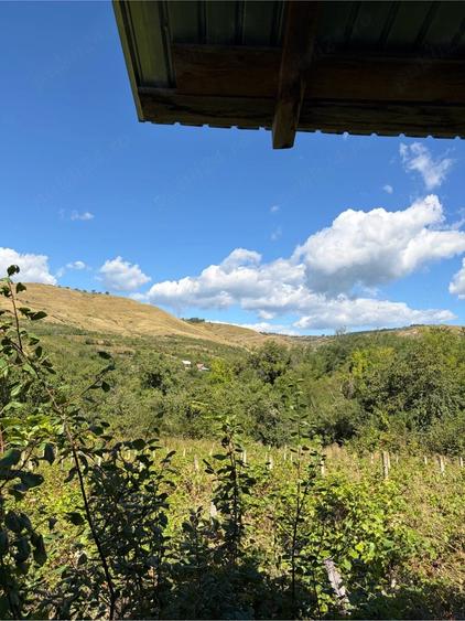 Casă cu Teren 4600 Mp în Văleanca-Vilănești