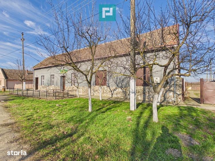 Spațiu comercial, de 225 mp, în Covaci