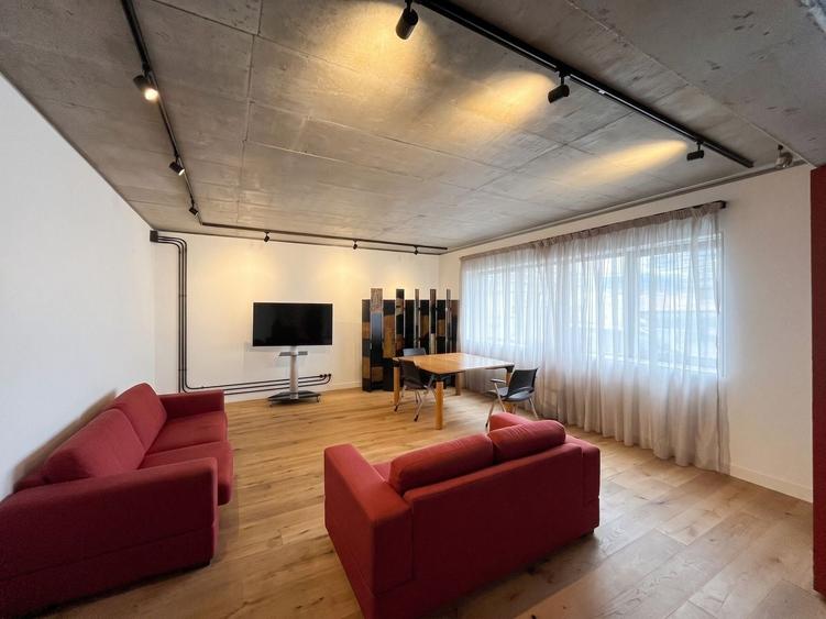 THE BRICK || INCOMPARABIL || 2 CAMERE || BARBU VACARESCU - 4