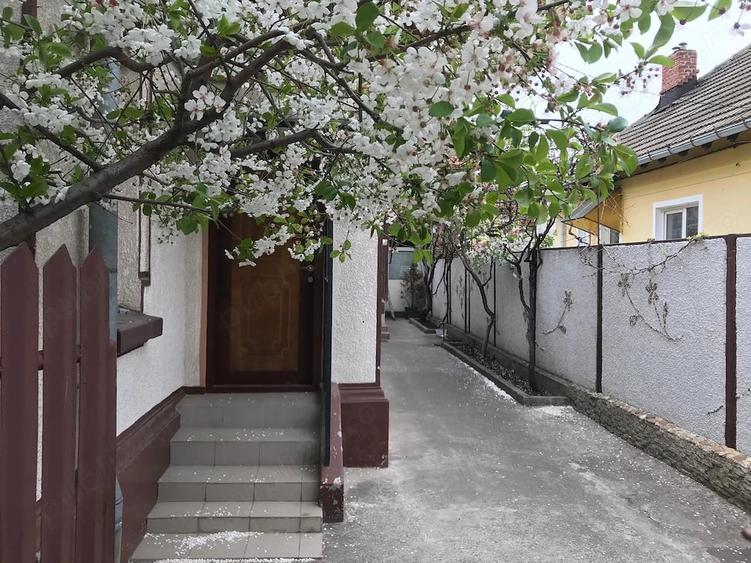 Casă cu 3 camere cu Teren 162 Mp în Vatra Luminoasă