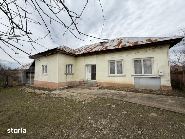 Casa pe parter, 115 mpc, 4505 mp teren, zona Bogea-Almaj - 19