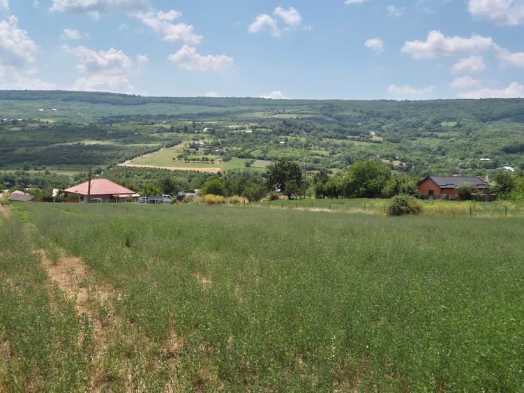 Teren de 800 mp, în Tomești