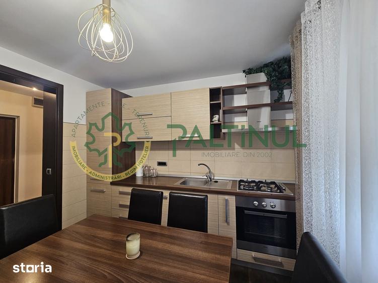 Apartament cu 2 camere decomandat în Gura Râului