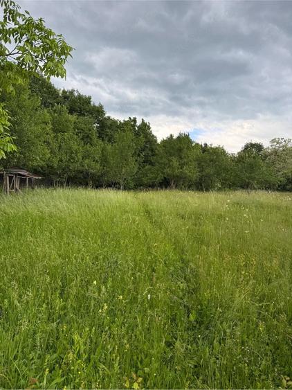 Teren de 4000 mp, în Ștubeiu