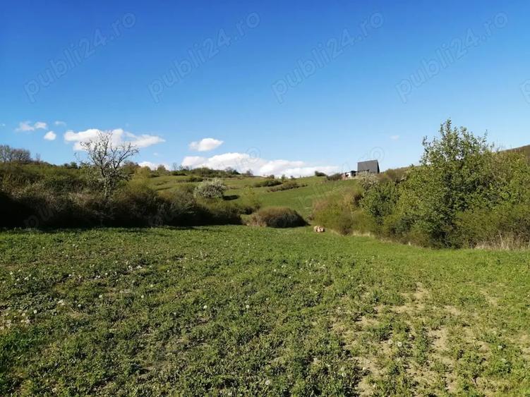 Teren de 4100 mp, în Ampoița