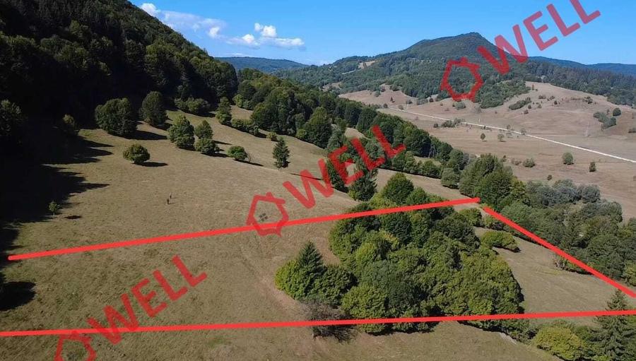 Teren extravilan de 7766 mp, în Dălghiu