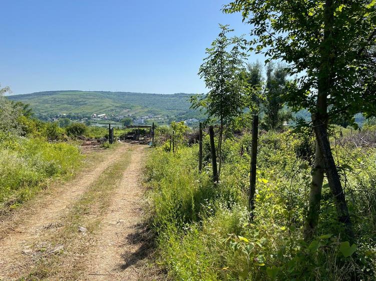 Teren Construcții intravilan de 600 mp, în Șorogari