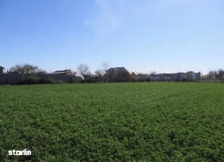 Teren de 3472 mp, în Chiscani
