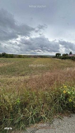 Teren de 1400 mp, în Comana