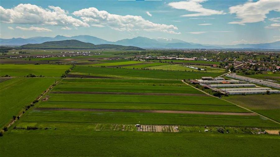 Teren extravilan de 5000 mp, în Bod