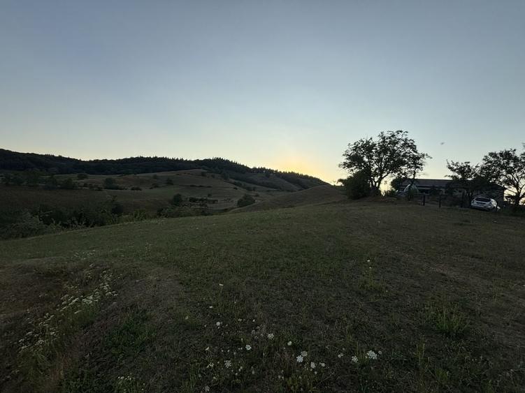 Vand teren intravilan construibil cu panorama deosebita - 2453 mp Rosia - 8