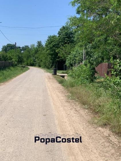 Teren Construcții de 15000 mp, în Mereni (Conțești)